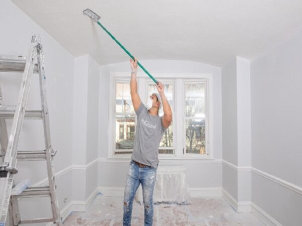 Professional Painting Service Cost